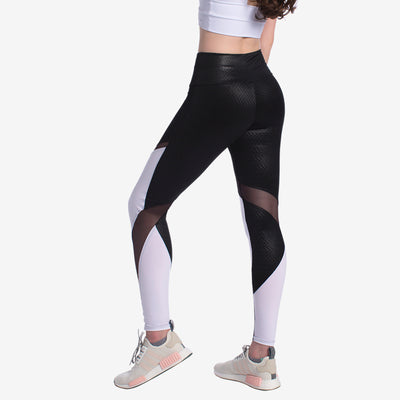 Checkmate Fitness Leggings - F13607